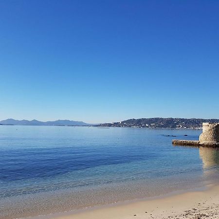 Appartement 2 Pieces, Renove, 2 Piscines+Tennis, Mer, Climatisation Antibes Dış mekan fotoğraf